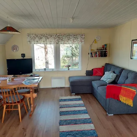 بيت للعطل Borgdala