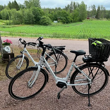 Дом отдыха Borgdala