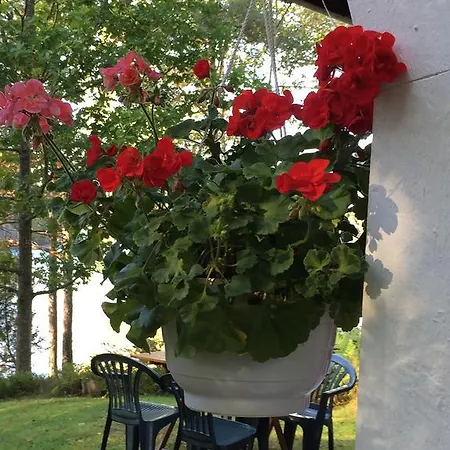 Borgdala * Одкарби