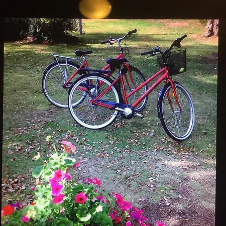 Borgdala Дом отдыха Одкарби