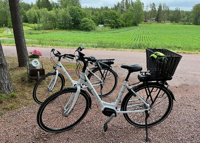 بيت للعطل Borgdala